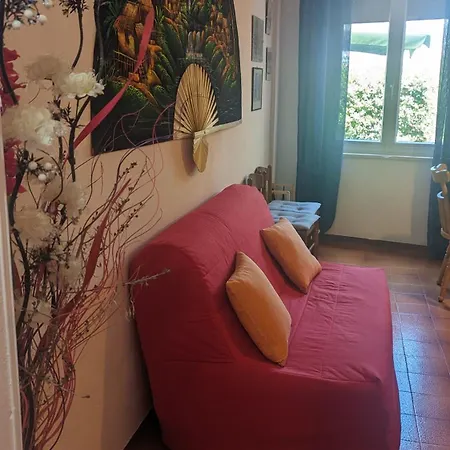 Nerium - Cala Di Seta *